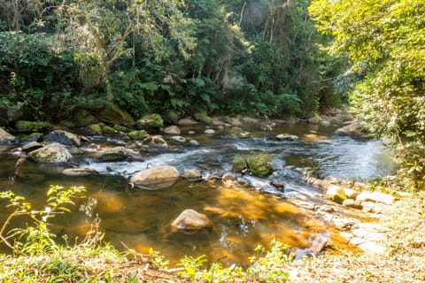 Natural landscape, Hiking, River view