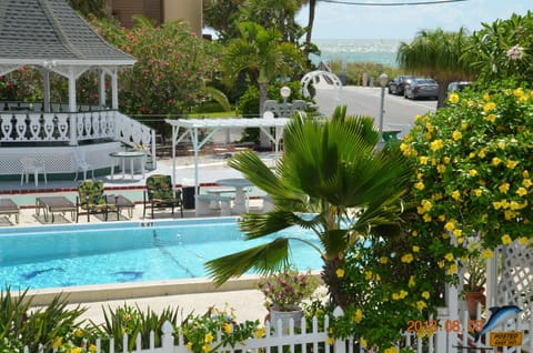 View (from property/room), Swimming pool, Swimming pool