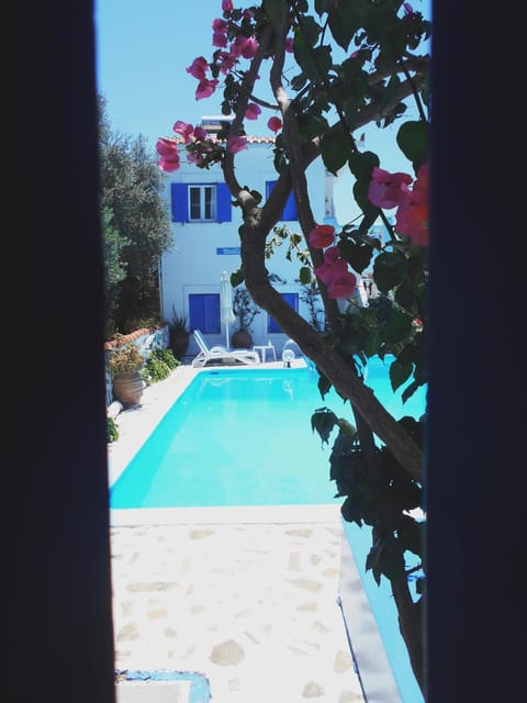 Day, Pool view, Swimming pool, sunbed