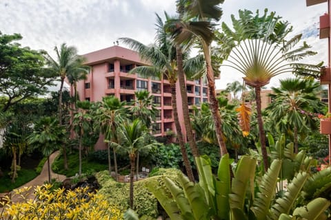 Property building, Garden, Garden view