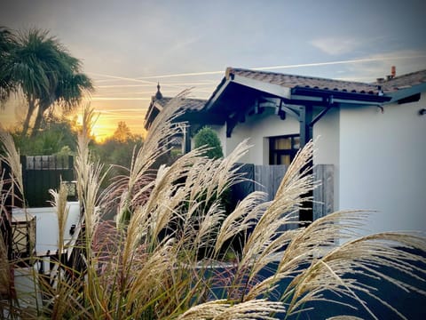 Property building, Garden view