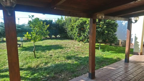 Garden, Inner courtyard view