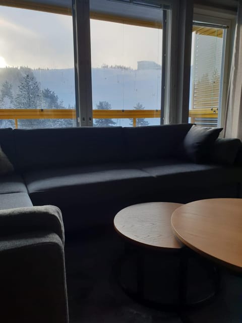 Winter, Living room, Seating area, Mountain view