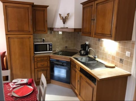 Locations de la cascade 4 personnes Apartment in Besse-et-Saint-Anastaise