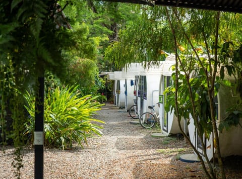 Day, Garden, Garden view