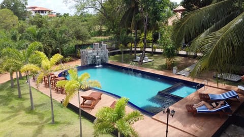 Garden, Garden view, Pool view, Swimming pool, sunbed