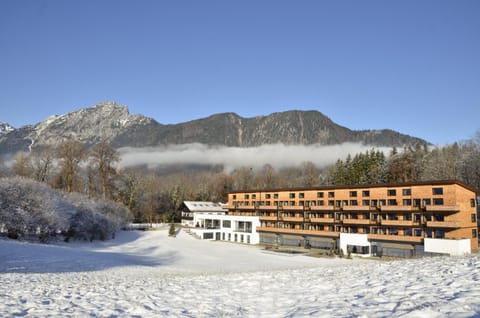 Property building, Day, Natural landscape, Winter, Mountain view