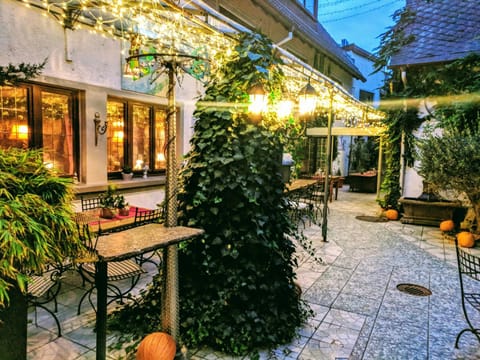 Garden, Balcony/Terrace