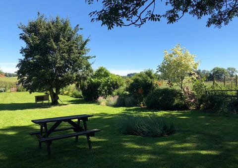 Garden, Garden view