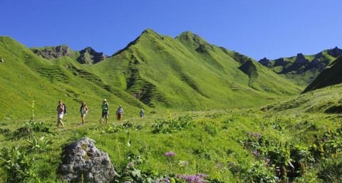 L OUSTALOU MAISON D HOTES DE CHARME EN AUVERGNE PISCINE PRIVEE CHAUFFéE House in Auvergne-Rhône-Alpes