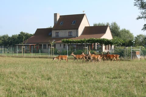 't Leeg Huys House in Flanders