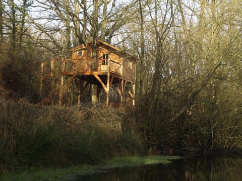 Le Bois Davy Campground/ 
RV Resort in Gennes-Val-de-Loire