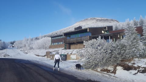 Property building, Facade/entrance, Day, Winter, Garden, On site, Pets, Pets, Guests