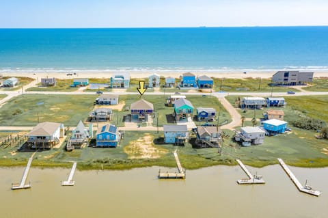 Purple Paradise House in Brazoria County