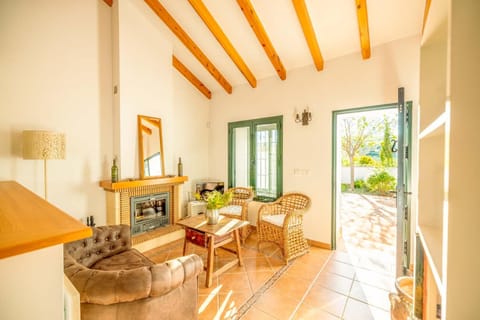 Living room, fireplace