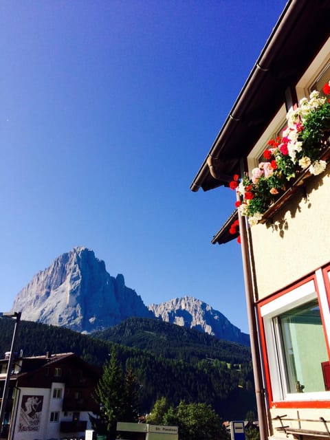 La terrazza gardenese Apartment in Sëlva