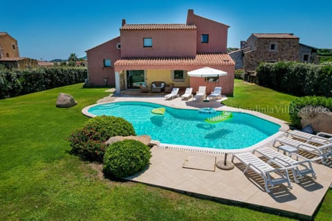 Garden, Garden view, Swimming pool