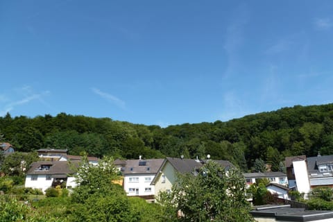 Ferienwohnung Lore Apartment in Trier