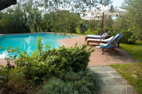 Garden, Swimming pool, Swimming pool