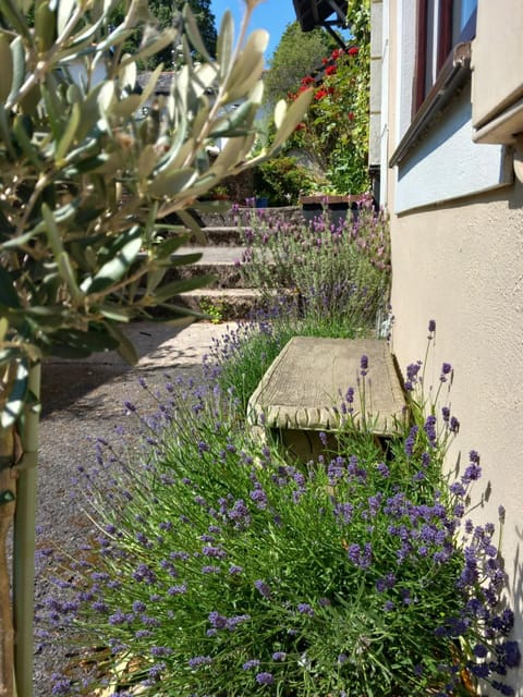 Garden, Garden view