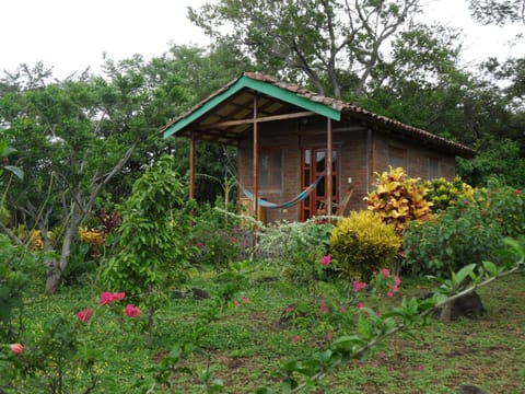 Property building, Facade/entrance, Day, Garden