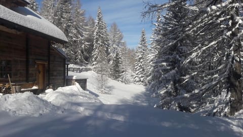 Almhütte Chalet HIRSCHFISCH Chalet in Carinthia, Austria