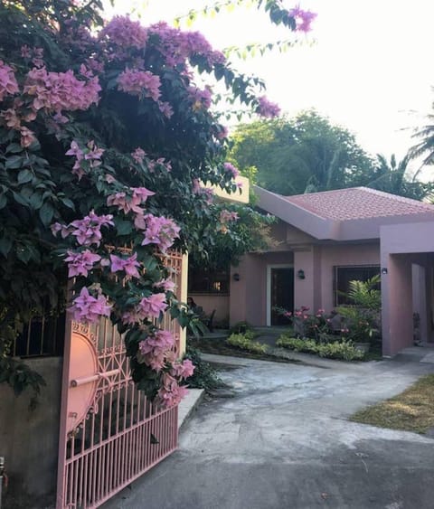 Magayon Pink House House in Bicol