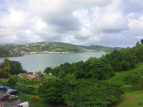 Studio avec vue sur la mer jardin amenage et wifi a La Trinite Condo in La Trinité