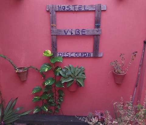 @hostel_vibe_descolada Hostel in Recife