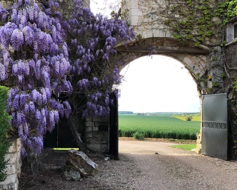 Résidences Le Clos du Manoir - Self Cooking Country House in Normandy