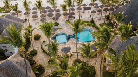 Bird's eye view, Pool view, Swimming pool