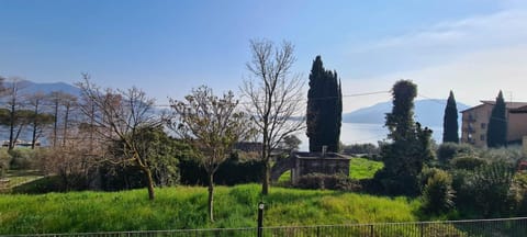Nearby landmark, Day, Natural landscape, Garden view, Lake view