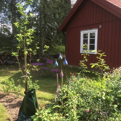 Patio, Garden