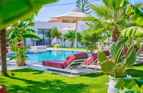 Patio, Garden, Swimming pool, sunbed