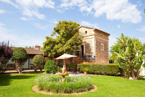 Property building, Garden, Garden view