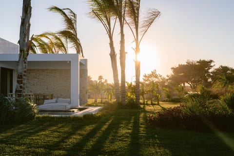 Natural landscape, Garden, Swimming pool, Sunset, sunbed