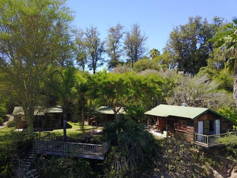 Avoca River Cabins Bed and Breakfast in Eastern Cape