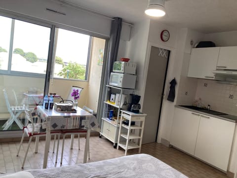 STUDIO CONFORT ET LUMINEUX avec LOGGIA ET PARKING Apartment in Balaruc-les-Bains