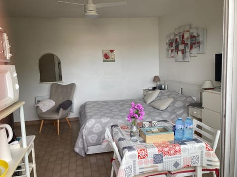 STUDIO CONFORT ET LUMINEUX avec LOGGIA ET PARKING Apartment in Balaruc-les-Bains
