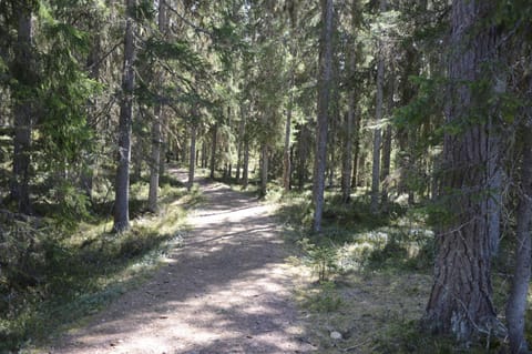16-Nasjonalpark, sykling, fisking, kanopadling, skogs- og fjellturer Condo in Innlandet