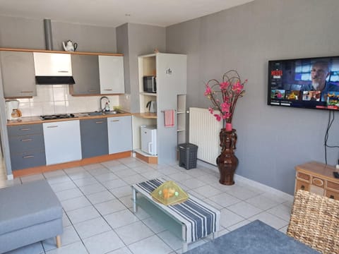 Kitchen or kitchenette, Living room, stove