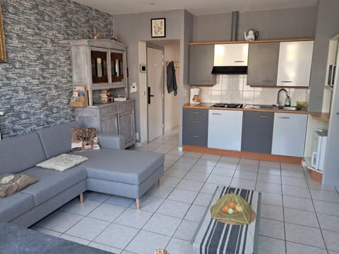 Kitchen or kitchenette, Living room, stove