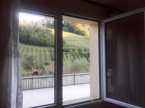 Balcony/Terrace, Photo of the whole room, Decorative detail, Garden view