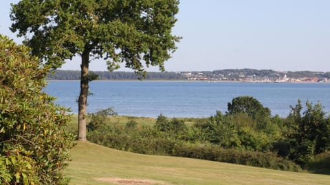 Natural landscape, Garden, Sea view