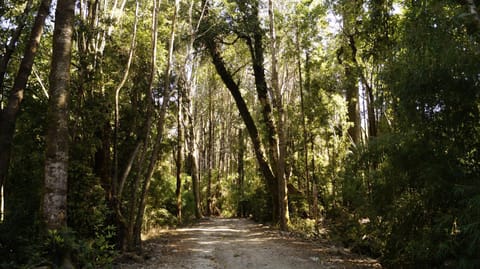 Natural landscape, Hiking