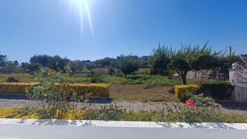 Day, Natural landscape, Garden, Garden view, Landmark view