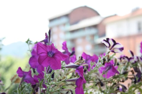 Balcony/Terrace, Decorative detail, City view, Street view