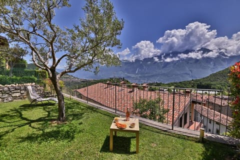 Patio, Garden, Garden view