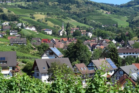 Nearby landmark, Natural landscape, Bird's eye view, Summer