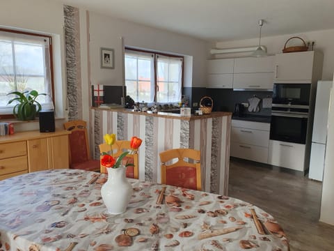 Kitchen or kitchenette, Dining area